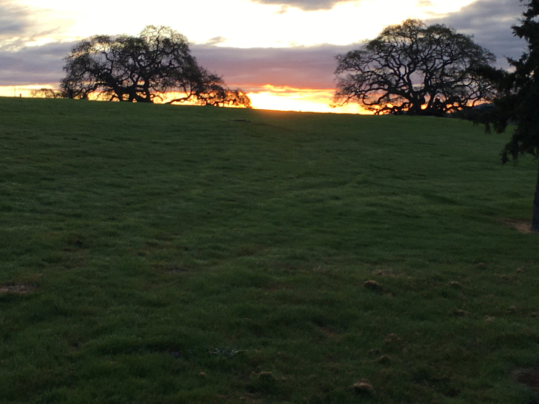 Enjoying Hiking in a Country Sunrise