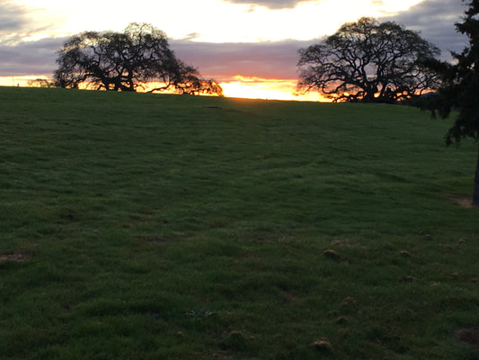 Enjoying Hiking in a Country Sunrise