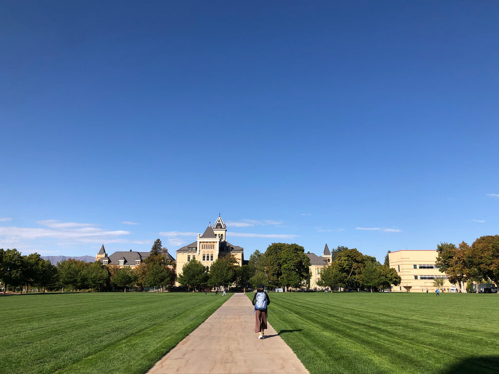 Walking Path with blue skies