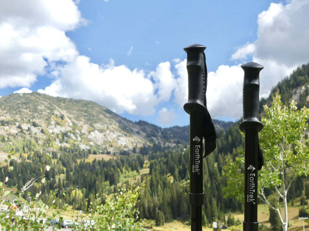 Hiking poles in nature