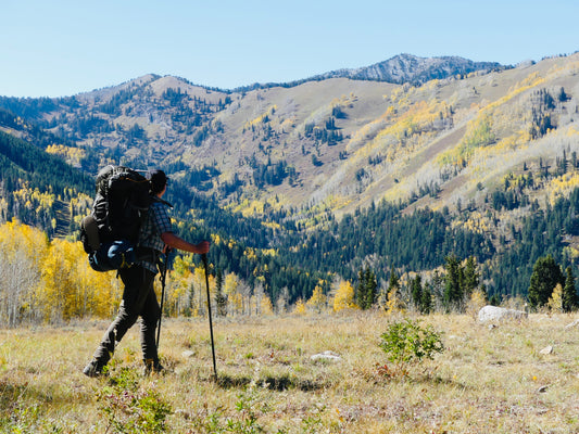 Hiker with trekking poles