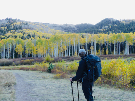 Man with walking poles hiking in the mountains