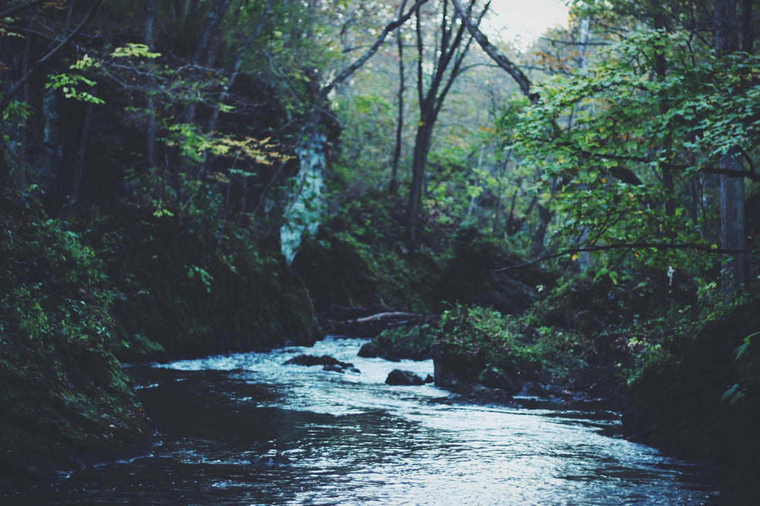 Exploring California's North Yuba Trail Hidden Beaches