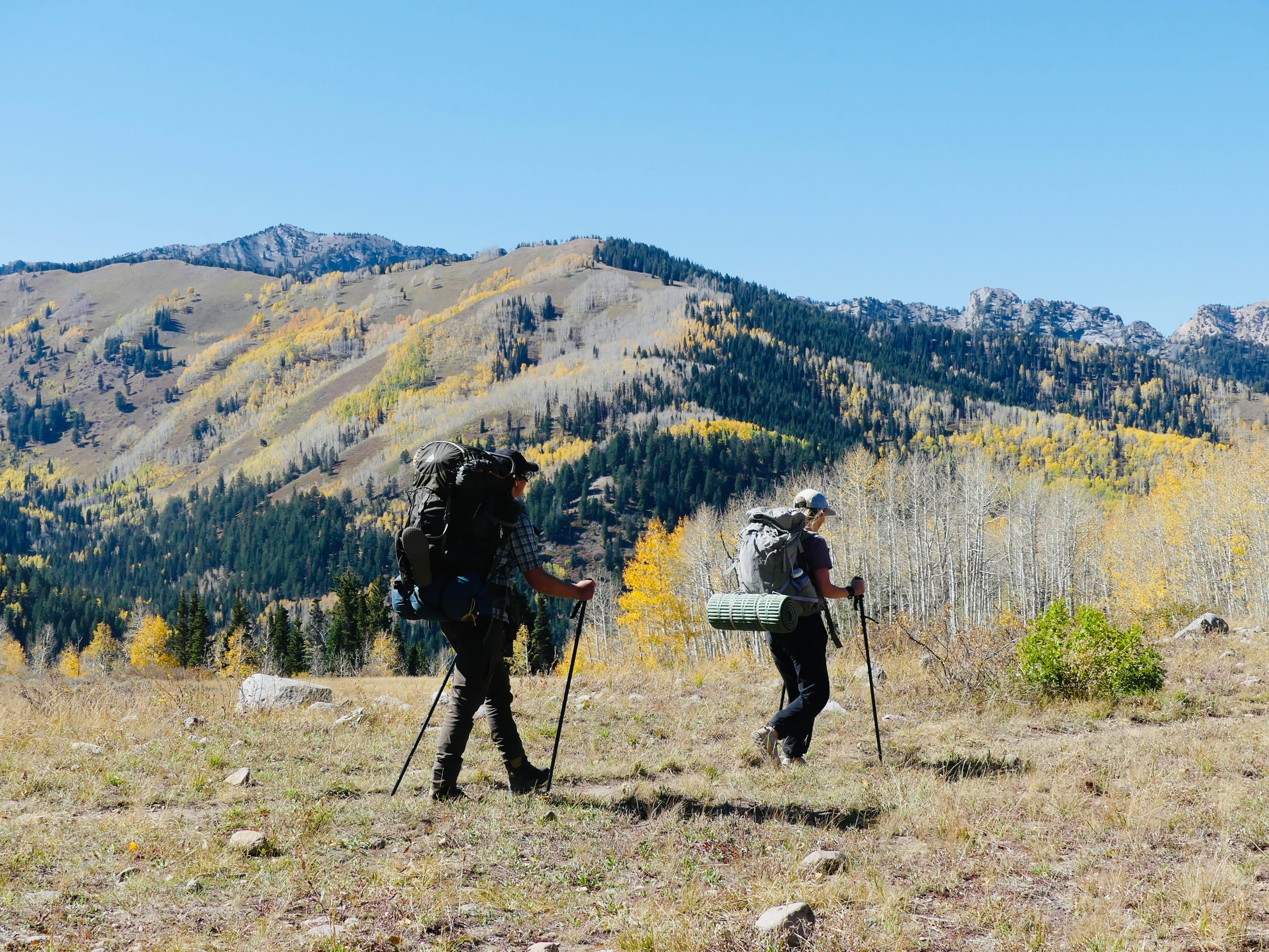 Home Page - Fall Hiking Poles